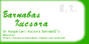 barnabas kucsora business card